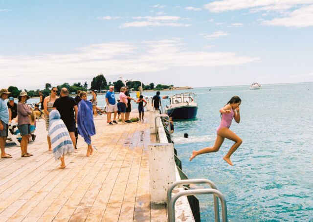 少女は実に楽しそうに飛び込む少年は間髪入れず飛び込んではまた上る犬も必死に泳ぐ、その割に前進しない様がかわいい#snap #film #mapua #sea #kodakportra400