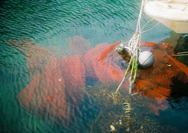 美しい場所を記録した。フィルムという物体に風景が収まっていく様は普通に考えたら異常だ。風景っていうのは物体が集結した結果であって、その物体が反射させるなりした光を採集していくのが撮影なんだと気付かされる。1秒、1/60秒、1/1000秒なりでカメラという箱をパカパカあけて、レンズを介して光を招き入れる。フィルムカメラで撮影するたび、頭の中ではカシャッ！とかパシャリとかではなく、ジュッという音を想像するようにしている。フィルムが焼ける音。こうして撮影した写真を見かえしていると自分は水が好きなんだなと思う。意識してシャッターを押しているわけではない。多分本能的に心地よさを感じるんだと思う。特にフィルムで焼き付けた水中景は、光がなんというか物理的なものとして残る気がして好きだ。水を焼き付ける。一層強くジュッて聞こえる。そんな気がする。#film #landscape #planar50mm14 #cinestill50d #kodakgold200