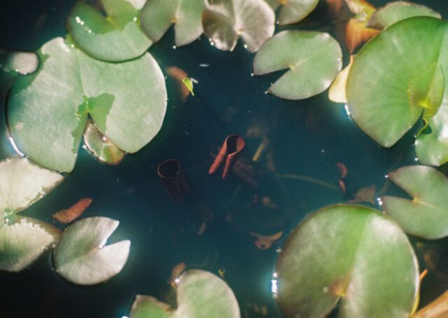 沈んでいく感覚#film