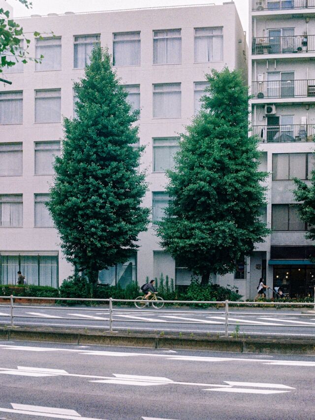 ここから逃げるためにチャリを漕ごう#bycicle #film #snap