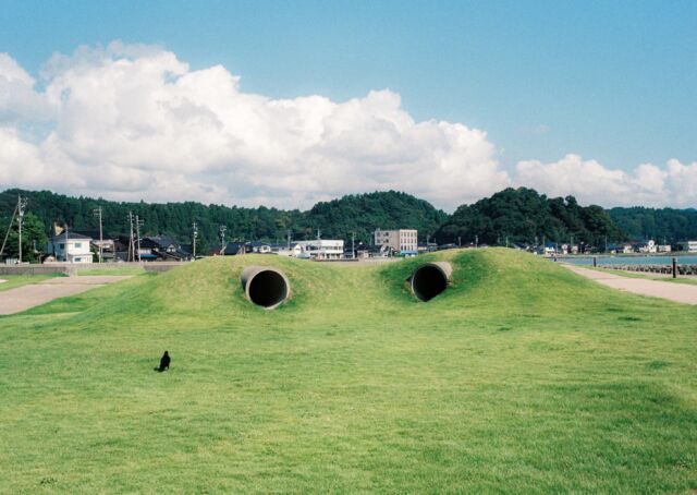 二つにひとつであるとして#film #snap #park #ultramax400 #rollei35